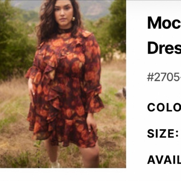 Mock Neck Ruffle Mini
Dress - Picture 1 of 1